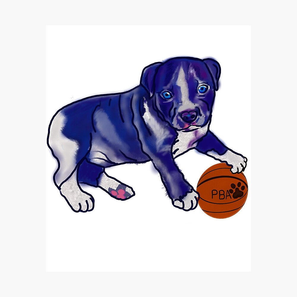 Pitbull Mit Blauen Augen 22+ Koleksi Gambar