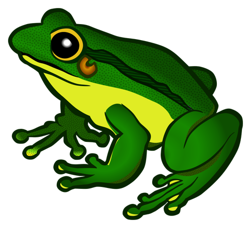 Detail Springender Frosch Nomer 19