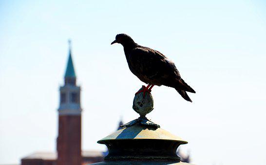 Detail Uhrturm Venedig Markusplatz Nomer 12