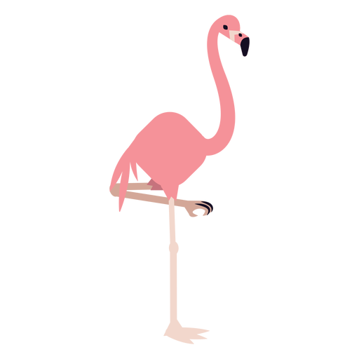 Detail Warum Stehen Flamingos Auf Einem Bein Nomer 15