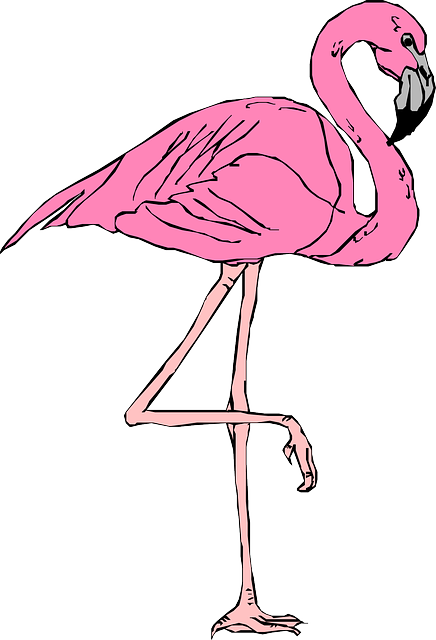 Detail Warum Stehen Flamingos Auf Einem Bein Nomer 20