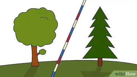 Detail Welchen Baum Pflanzen Nomer 10