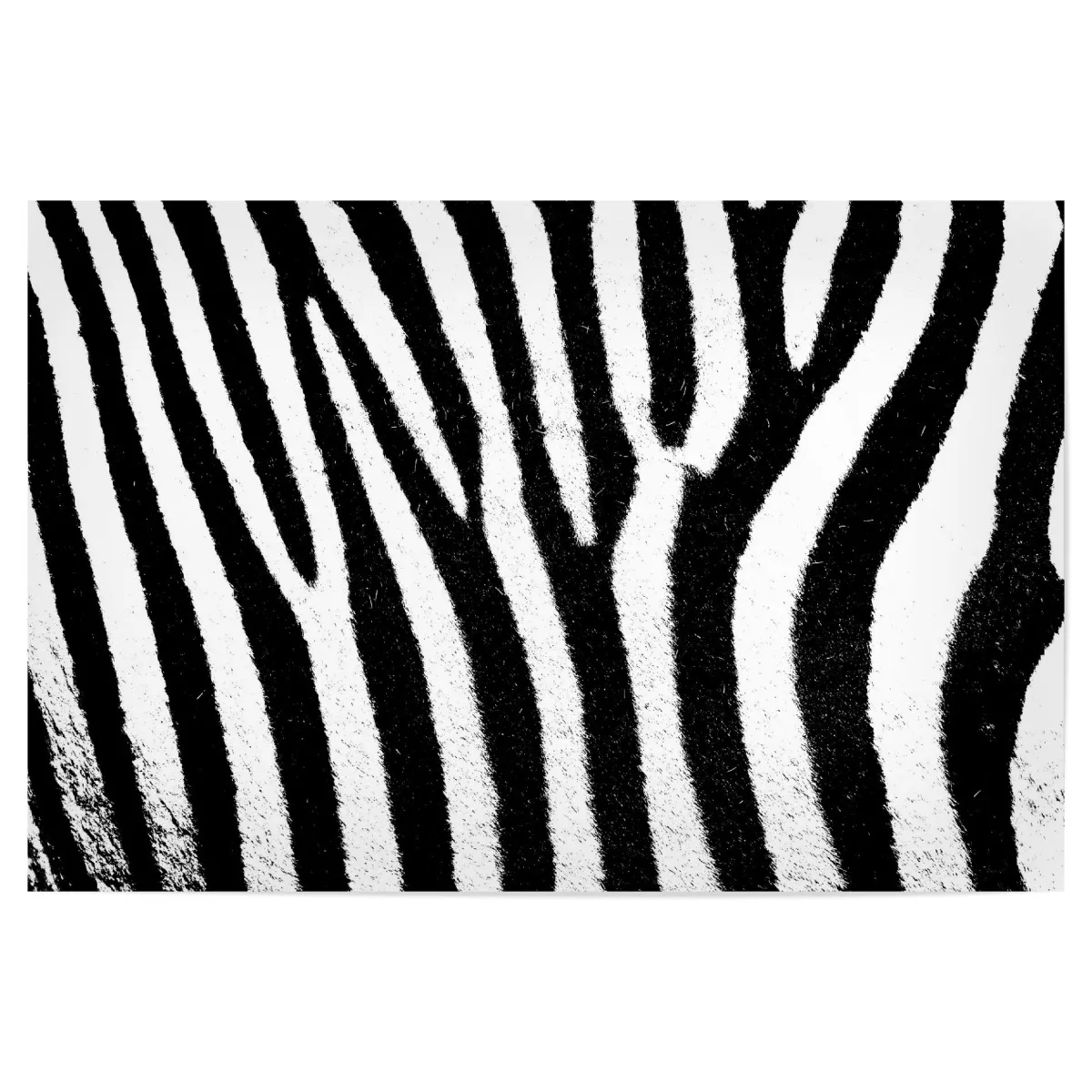 Detail Zebra Muster Nomer 8
