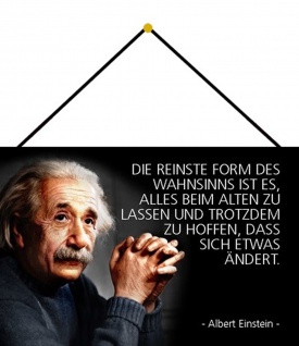 Detail Albert Einstein Haare Nomer 10