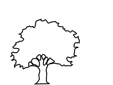 Detail Easy Oak Tree Drawing Nomer 12