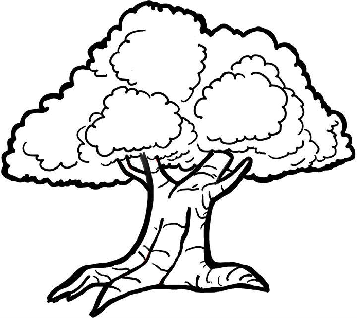 Detail Easy Oak Tree Drawing Nomer 15