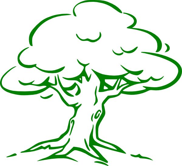 Easy Oak Tree Drawing - KibrisPDR