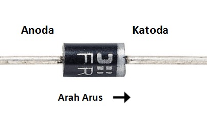 Detail Gambar Bentuk Dioda Nomer 9