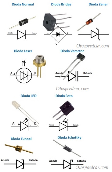 Detail Gambar Bentuk Dioda Nomer 10