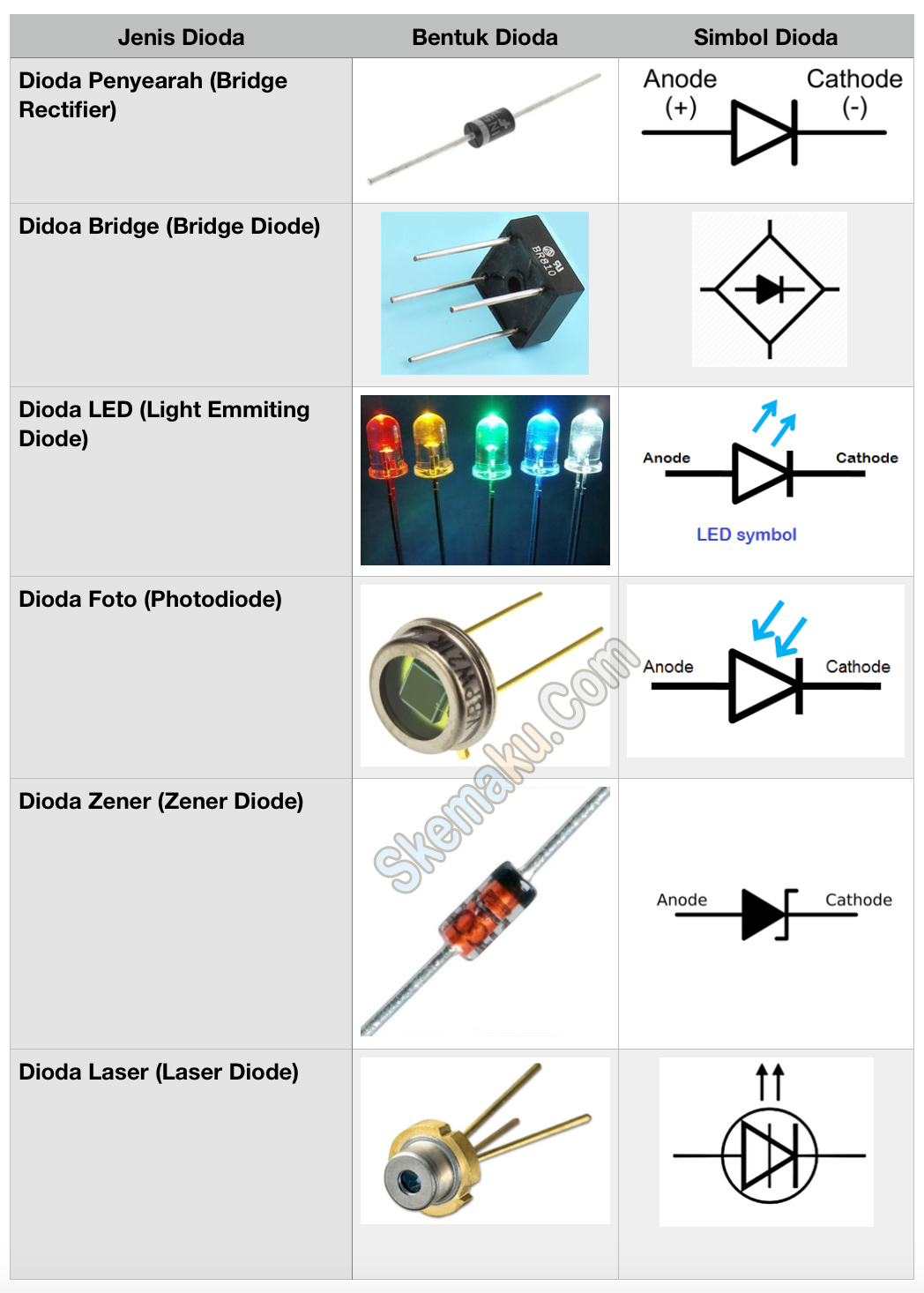 Detail Gambar Bentuk Dioda Nomer 3