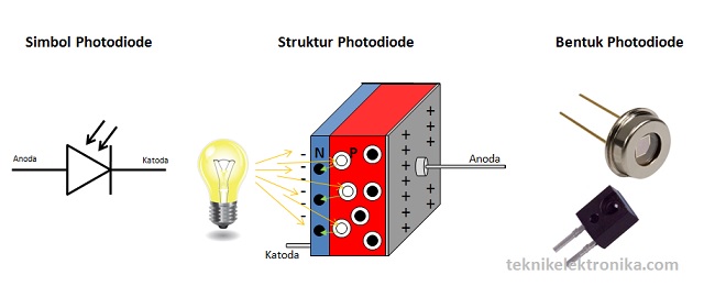 Detail Gambar Bentuk Dioda Nomer 26