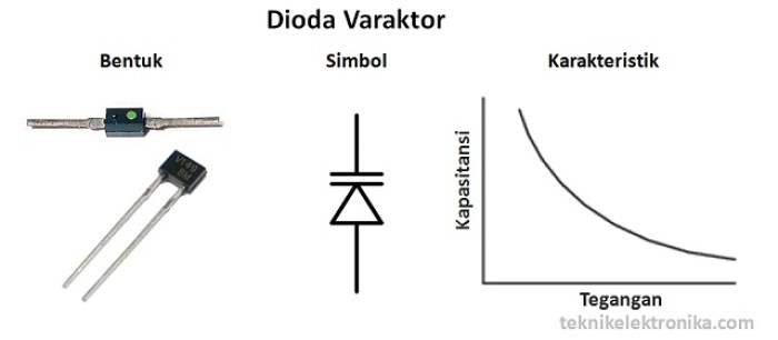 Detail Gambar Bentuk Dioda Nomer 36