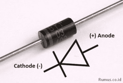 Detail Gambar Bentuk Dioda Nomer 7