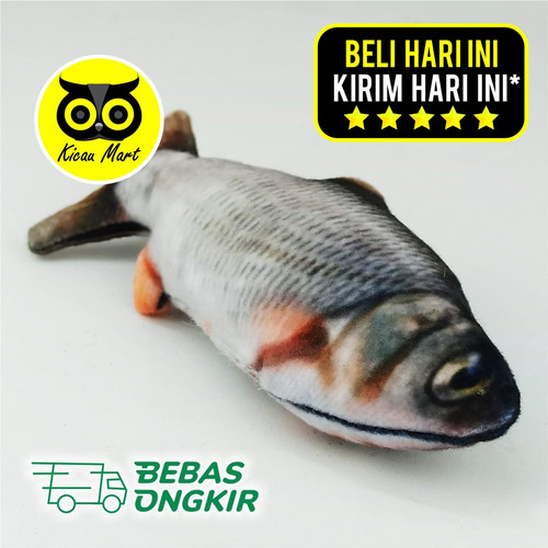 Detail Gambar Bentuk Ikan Nomer 51