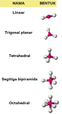 Detail Gambar Bentuk Molekul Linier Nomer 19