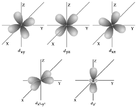 Detail Gambar Bentuk Orbital Nomer 2