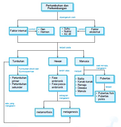 Detail Gambar Bentuk Perkembangan Tumbuhan Nomer 23