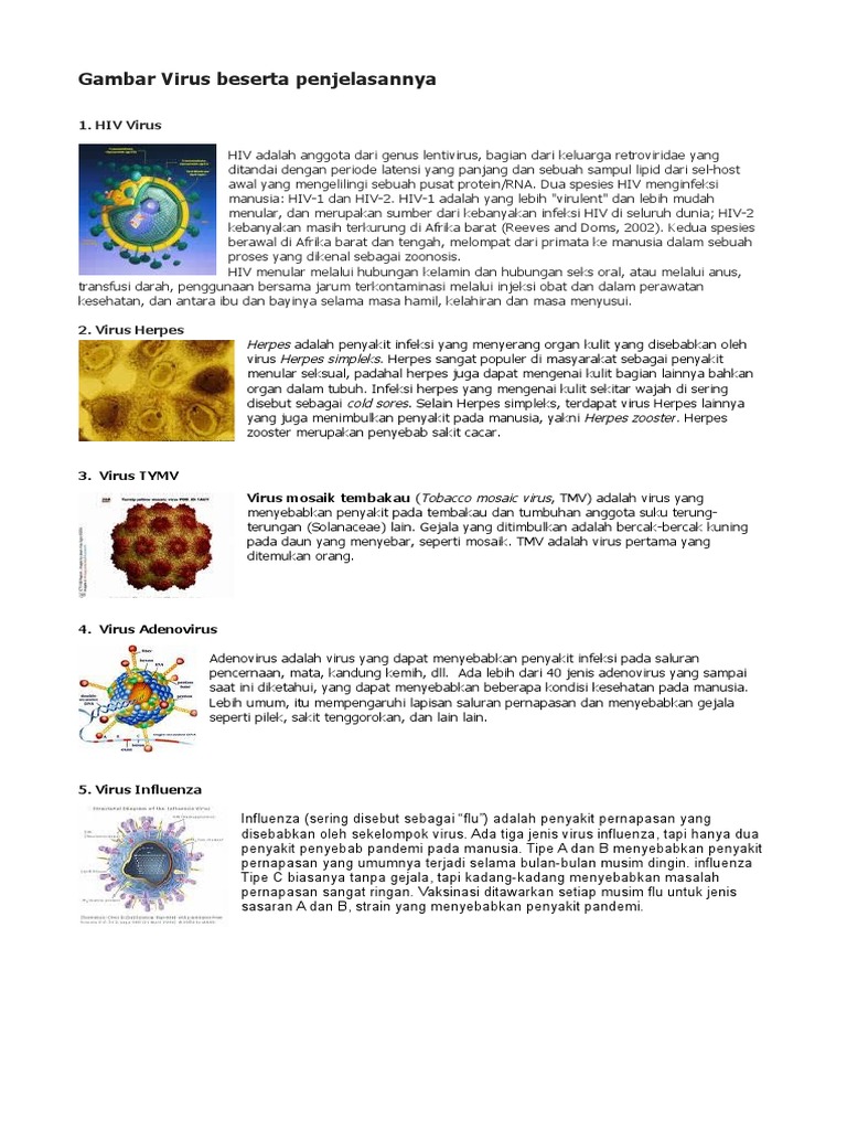 Detail Gambar Bentuk Virus Dan Keterangannya Nomer 20