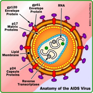 Detail Gambar Bentuk Virus Dan Keterangannya Nomer 21