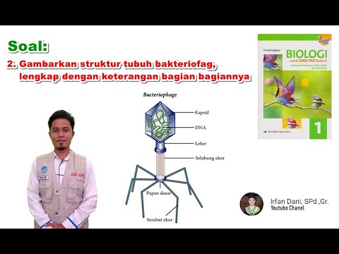 Detail Gambar Bentuk Virus Dan Keterangannya Nomer 37