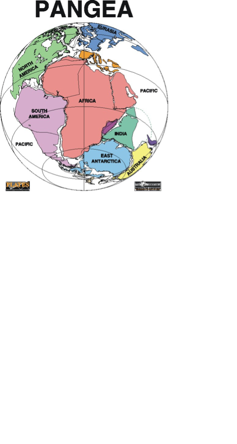 Detail Gambar Benua Pangea Nomer 28