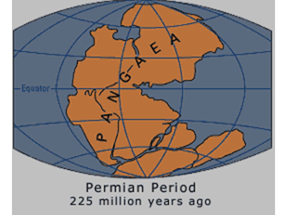 Detail Gambar Benua Pangea Nomer 33