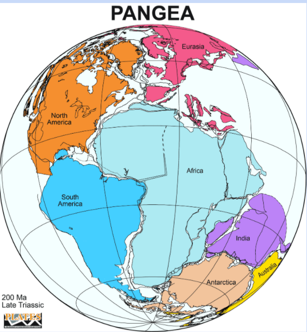 Detail Gambar Benua Pangea Nomer 5