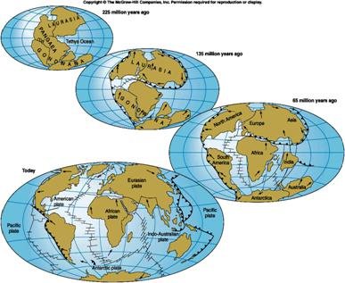 Detail Gambar Benua Pangea Nomer 39