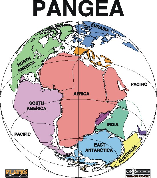 Detail Gambar Benua Pangea Nomer 7