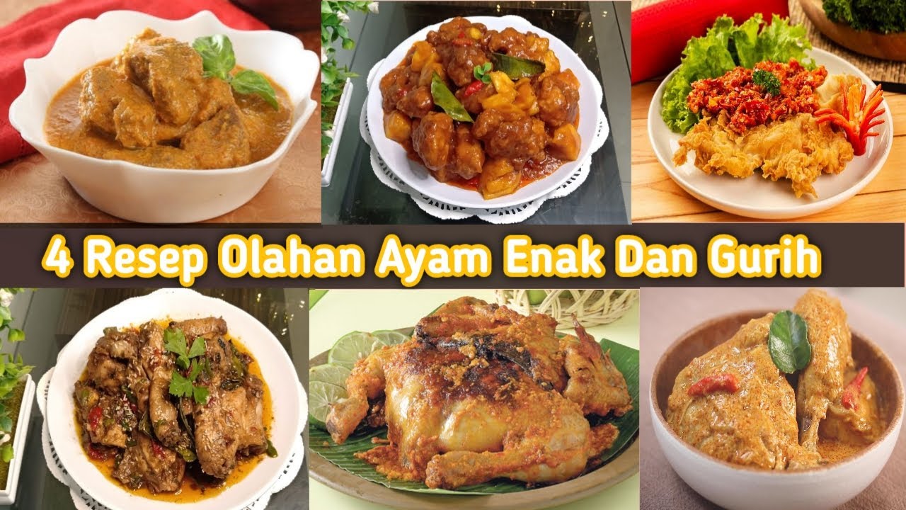 Detail Gambar Beraneka Ragam Ayam Nomer 41