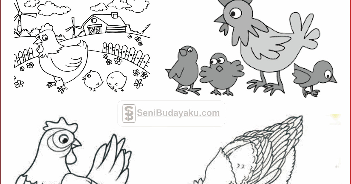 Detail Gambar Beraneka Ragam Ayam Animasi Nomer 12