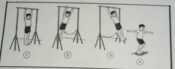 Detail Gambar Bergantung Olahraga Nomer 16