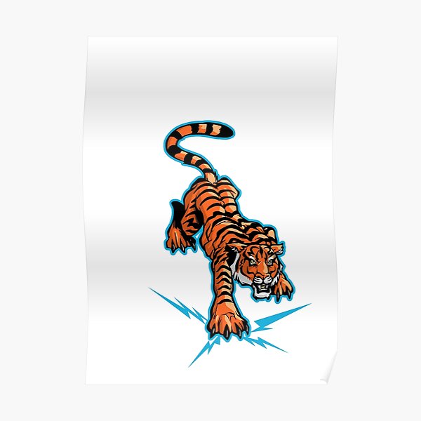 Detail Katze Tiger Spiegelbild Poster Nomer 6