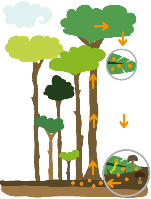 Detail Baum Aus Eierkarton Nomer 6