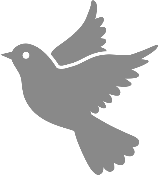 Detail Dove Icon Png Nomer 7