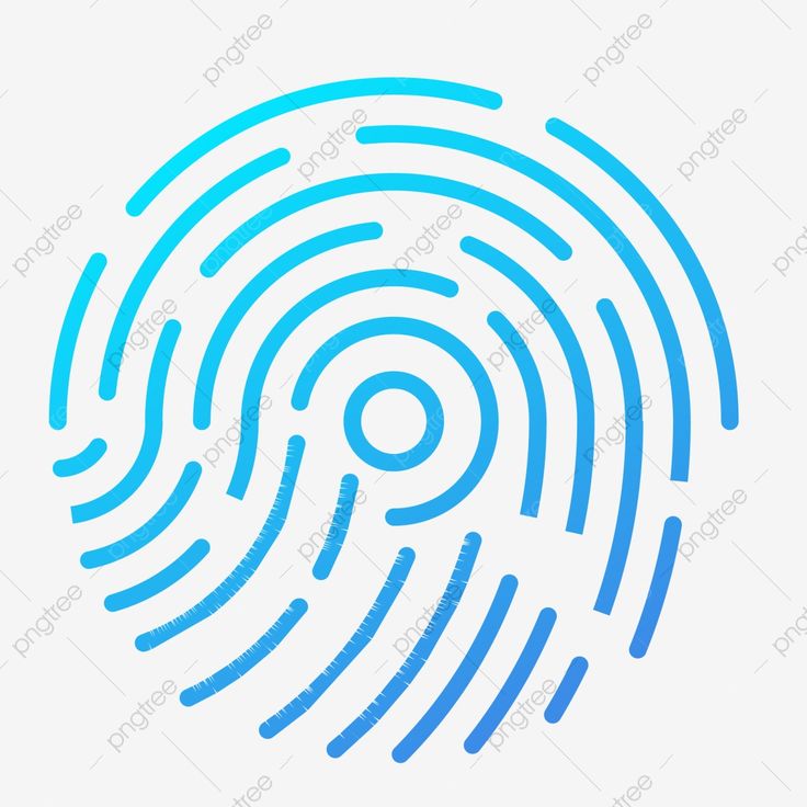 Detail Fingerprint Png Nomer 19