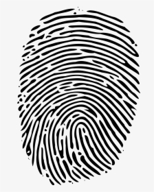 Detail Fingerprint Png Nomer 3