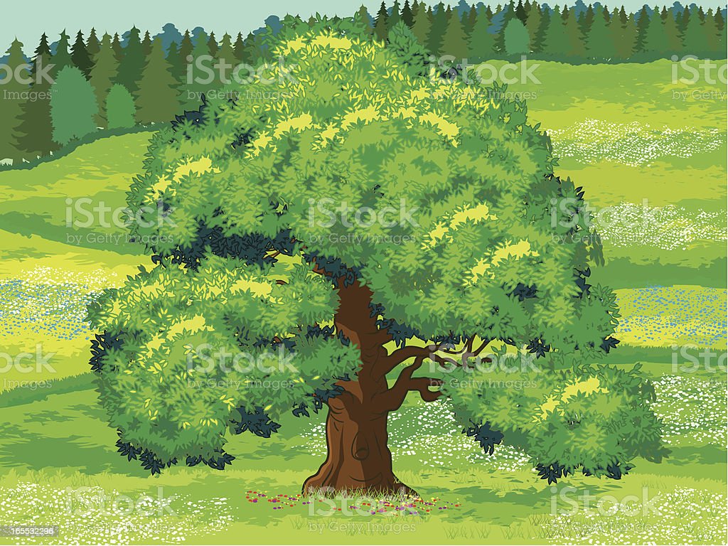 Detail Gambar Bergerak Pohon Nomer 31