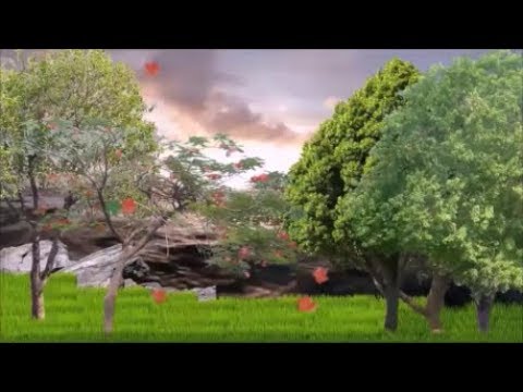Detail Gambar Bergerak Ppt Animasi Bergerak Daun Gugur Nomer 40