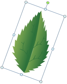 Detail Gambar Bergerak Ppt Animasi Bergerak Daun Gugur Nomer 54