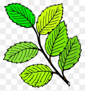Detail Gambar Bergerak Ppt Animasi Bergerak Daun Gugur Nomer 8