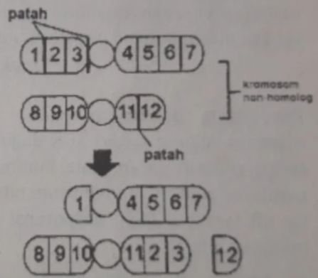 Detail Gambar Berikut Menunjukkan Nomer 39