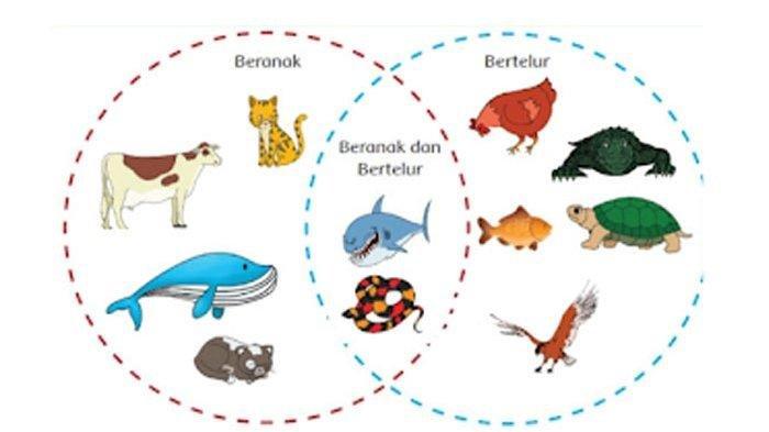 Detail Gambar Berkembang Biak Nomer 6