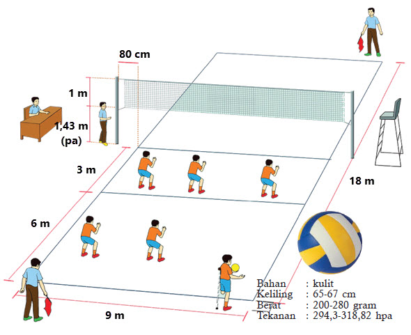 Detail Gambar Bermain Bola Volly Nomer 28