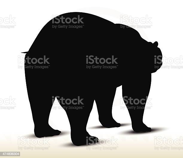 Detail Gambar Beruang Dan Gajah Hitam Putih Nomer 35