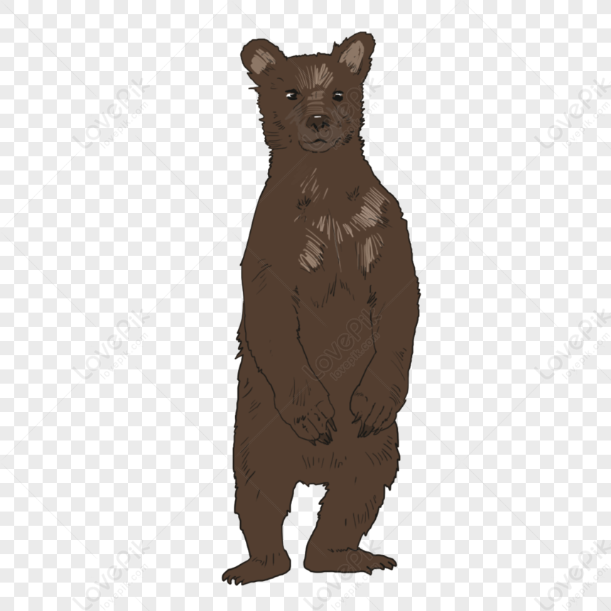 Detail Gambar Beruang Png Nomer 52