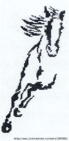 Detail Muster Pferd Nomer 18