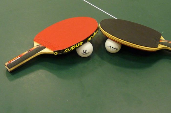 Detail Gambar Bet Pingpong Nomer 2