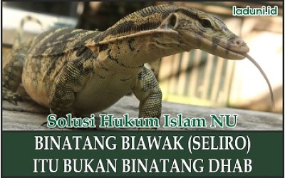 Detail Gambar Biawak Arab Nomer 45