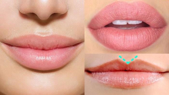 Detail Gambar Bibir Tebal Nomer 12